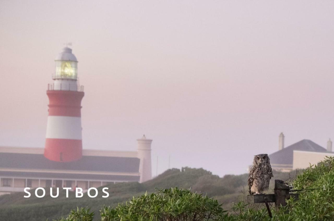 Soutbos & Janfrederik Apartment Agulhas Exterior photo